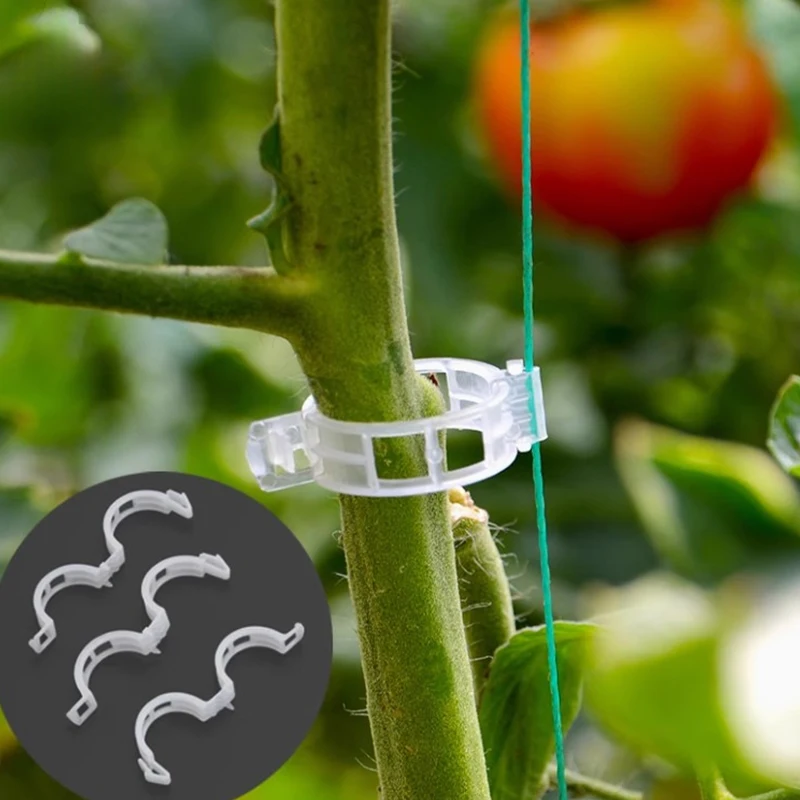 200Pcs Plant Support Clips Fixture,Plastic Garden Vine Strapping Clip for Climbing Plants,Tomato,Grape,Plants Stalks Holder
200Pcs Plant Support Clips Fixture,Plastic Garden Vine Strapping Clip for Climbing Plants,Tomato,Grape,Plants Stalks Holder
