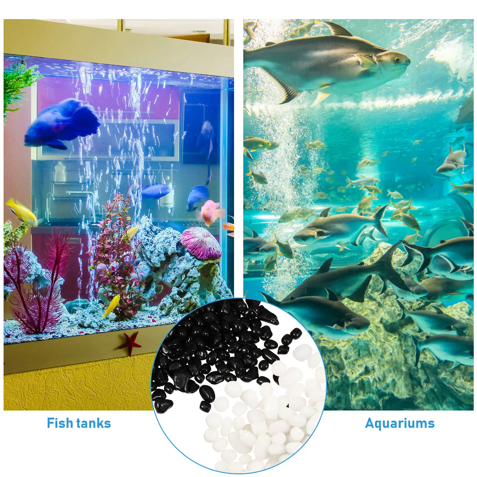 Fish Tank Gravel Aquarium Bottom Sand Rocks Decorations for Freshwater Landscape
Fish Tank Gravel Aquarium Bottom Sand Rocks Decorations for Freshwater Landscape