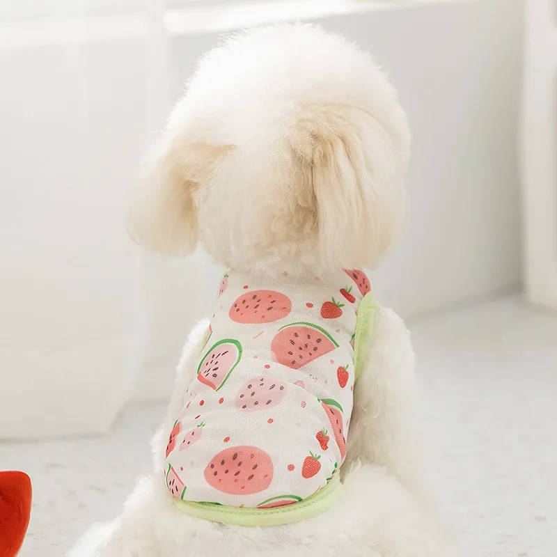 Pomeranian Watermelon Small Vest Teddy Breathable Mesh T-Shirt Small Dog Sleeveless Fruit Clothes Pretty Dog Clothes
Pomeranian Watermelon Small Vest Teddy Breathable Mesh T-Shirt Small Dog Sleeveless Fruit Clothes Pretty Dog Clothes