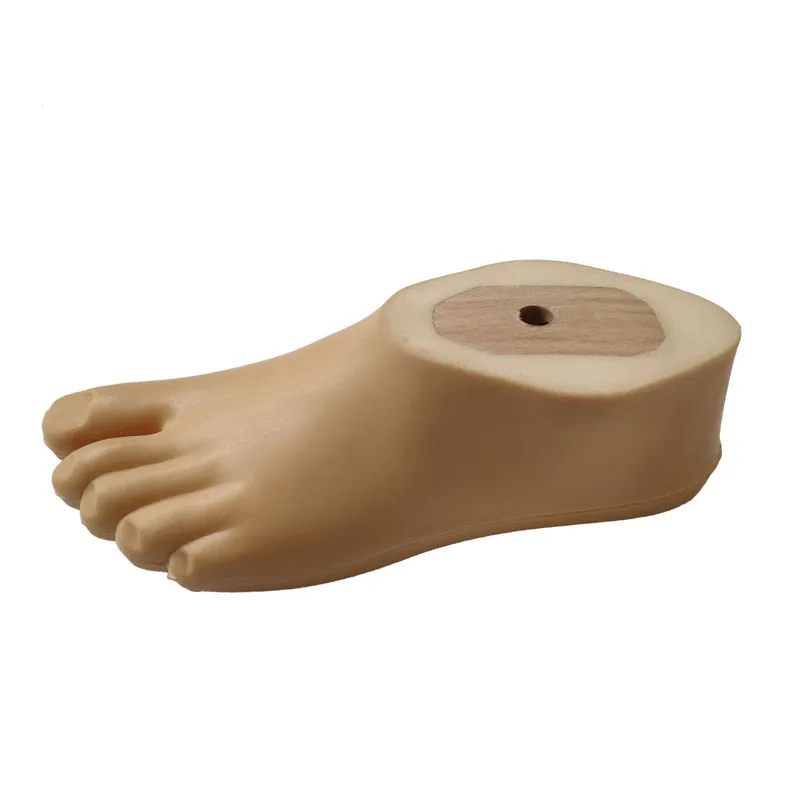 Manufacturer Prosthetic Foot Artificial Limb Prosthetic SACH Foot for Children Prosthetic Foot
Manufacturer Prosthetic Foot Artificial Limb Prosthetic SACH Foot for Children Prosthetic Foot