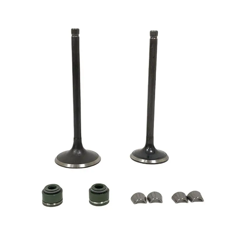 Motorcycle Valves + Oil Seals + Lock Clips Kit For GS200 DR200 QM200GY GXT200-N30R
Motorcycle Valves + Oil Seals + Lock Clips Kit For GS200 DR200 QM200GY GXT200-N30R