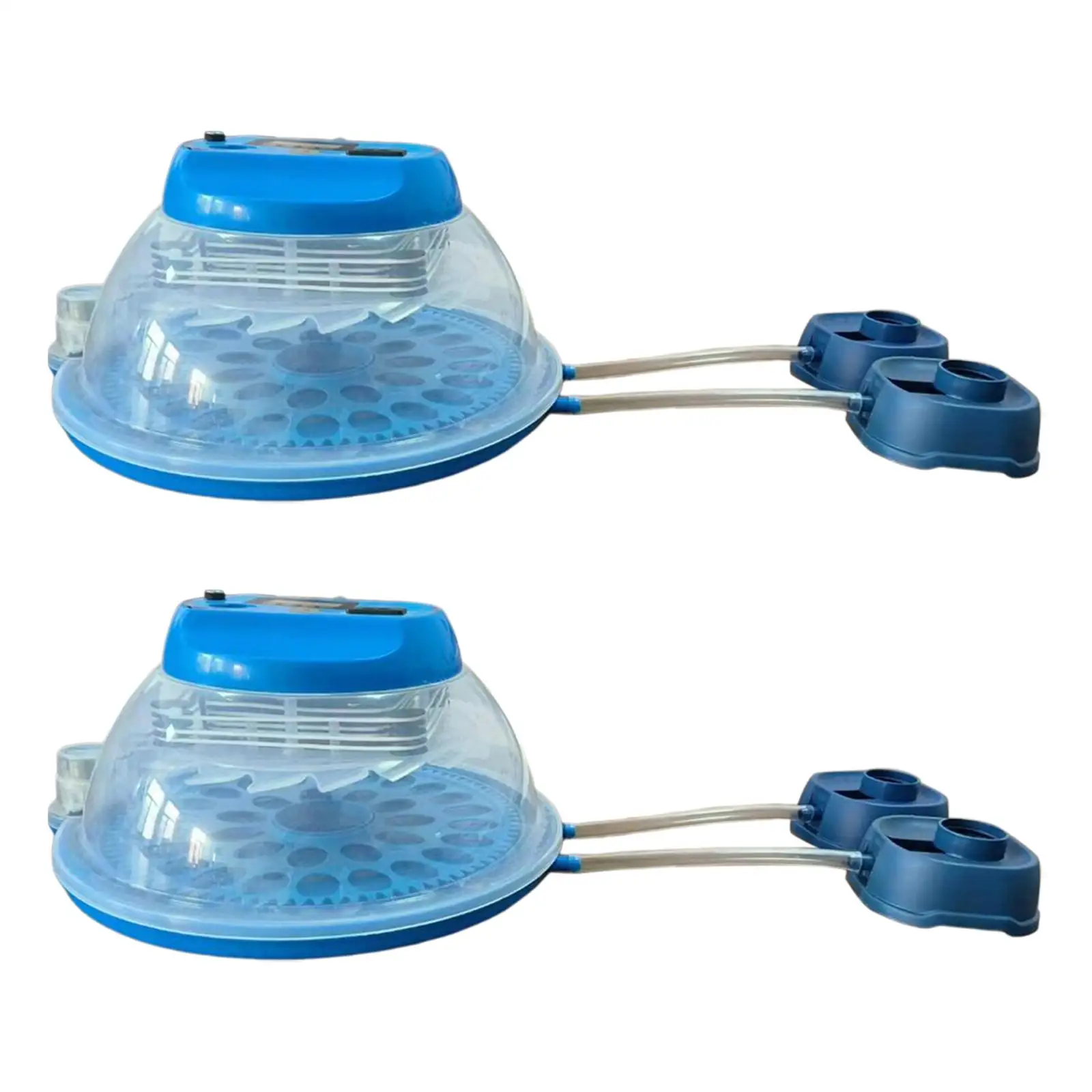 Инкубация яиц для инкубационных яиц, съемное шасси, устройство для инкубации яиц для гусиных цыплят, для домашнего использования
Инкубация яиц для инкубационных яиц, съемное шасси, устройство для инкубации яиц для гусиных цыплят, для домашнего использования