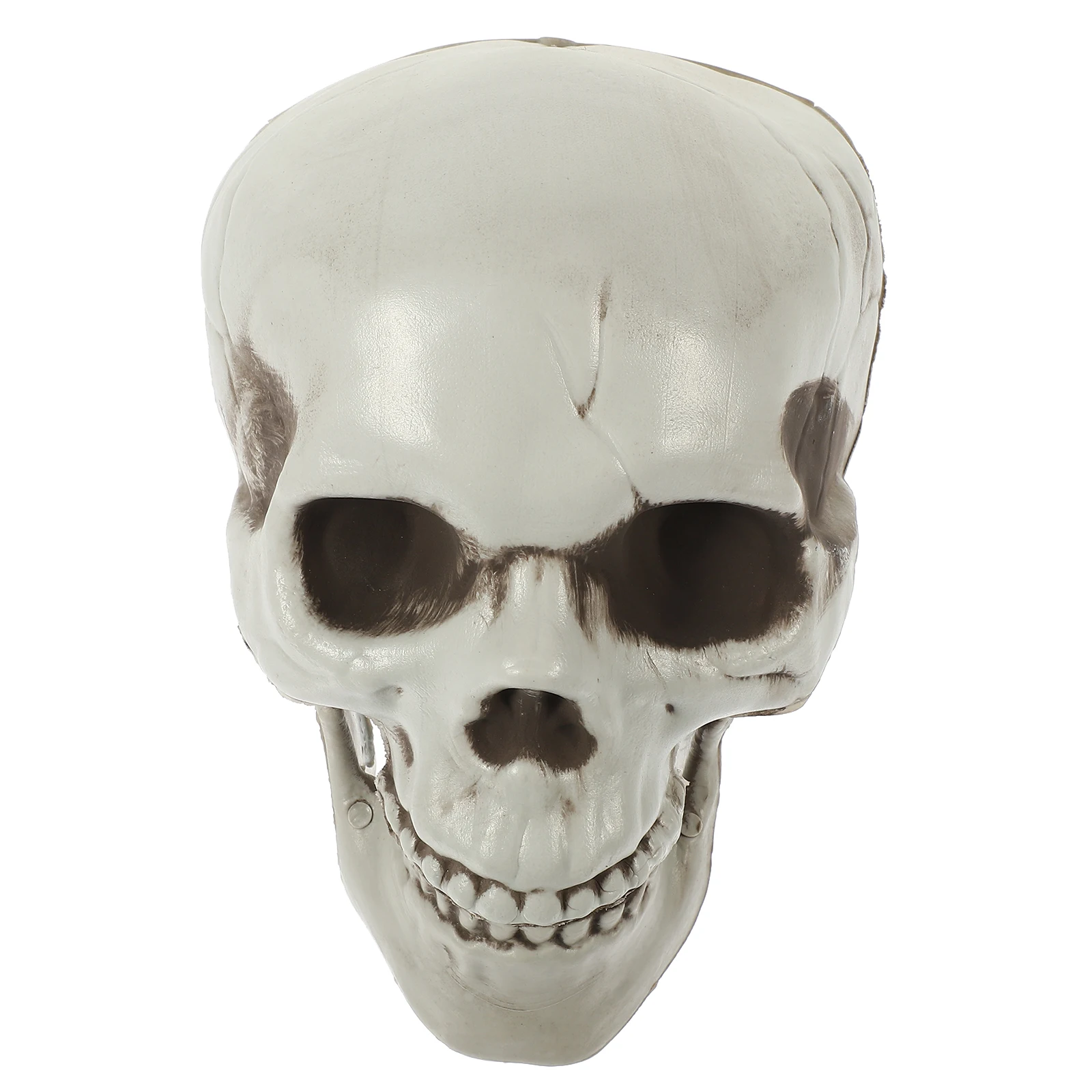 Skull Statue Halloween Decorations Indoor Home Party Room Gothic PE Material Realistic Shape IdealHaunted House Prop
Skull Statue Halloween Decorations Indoor Home Party Room Gothic PE Material Realistic Shape IdealHaunted House Prop