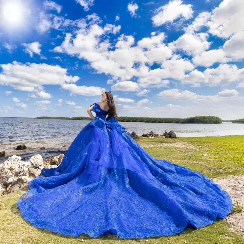 Luxury Royal Blue Shiny Ball Gown Quinceanera Dresses Off The Shoulder Beads Bow Birthday Party Gown Sweet 16 Dresses Vestidos
Luxury Royal Blue Shiny Ball Gown Quinceanera Dresses Off The Shoulder Beads Bow Birthday Party Gown Sweet 16 Dresses Vestidos