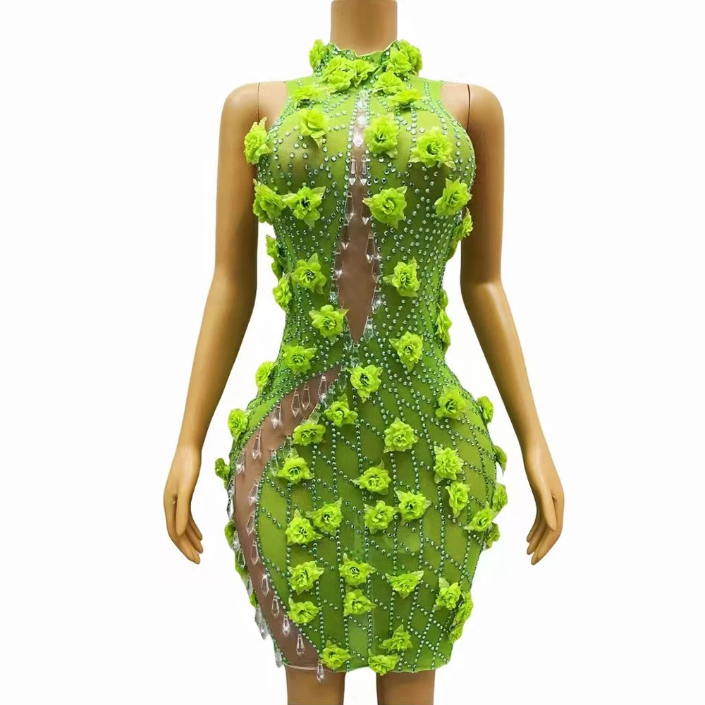 New Design Silver Green Flower Rhinestones Transparent Dress Birthday Celebrate Costume Dance Performance Photoshoot Outfit
New Design Silver Green Flower Rhinestones Transparent Dress Birthday Celebrate Costume Dance Performance Photoshoot Outfit