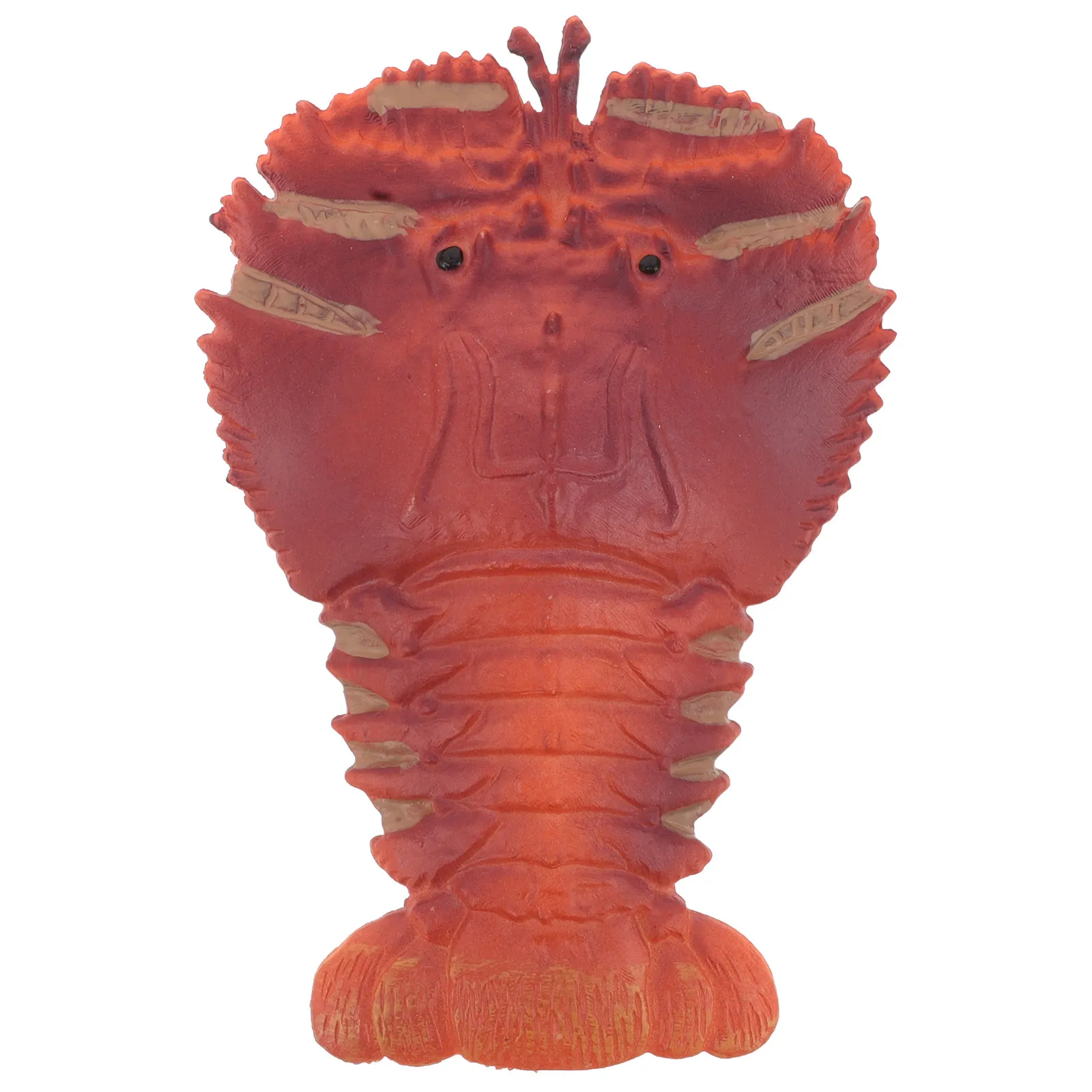 Miniature Mantis Shrimp Decoration Lifelike Plastic Ocean Animal Ornament for Nautical Kitchen Desk Beach Party Coastal Decor
Miniature Mantis Shrimp Decoration Lifelike Plastic Ocean Animal Ornament for Nautical Kitchen Desk Beach Party Coastal Decor