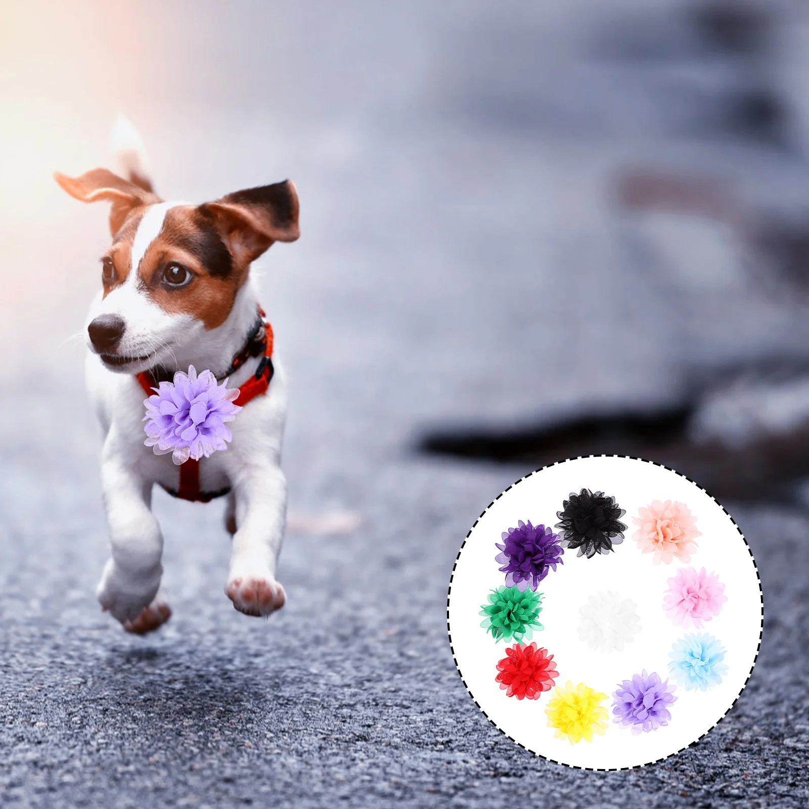10pcs Chiffon Flowers Pet Collar Decorative Flowers Collar Ornament (Mixed Style) Pet Collar Flowers Dog Collar Flowers
10pcs Chiffon Flowers Pet Collar Decorative Flowers Collar Ornament (Mixed Style) Pet Collar Flowers Dog Collar Flowers
