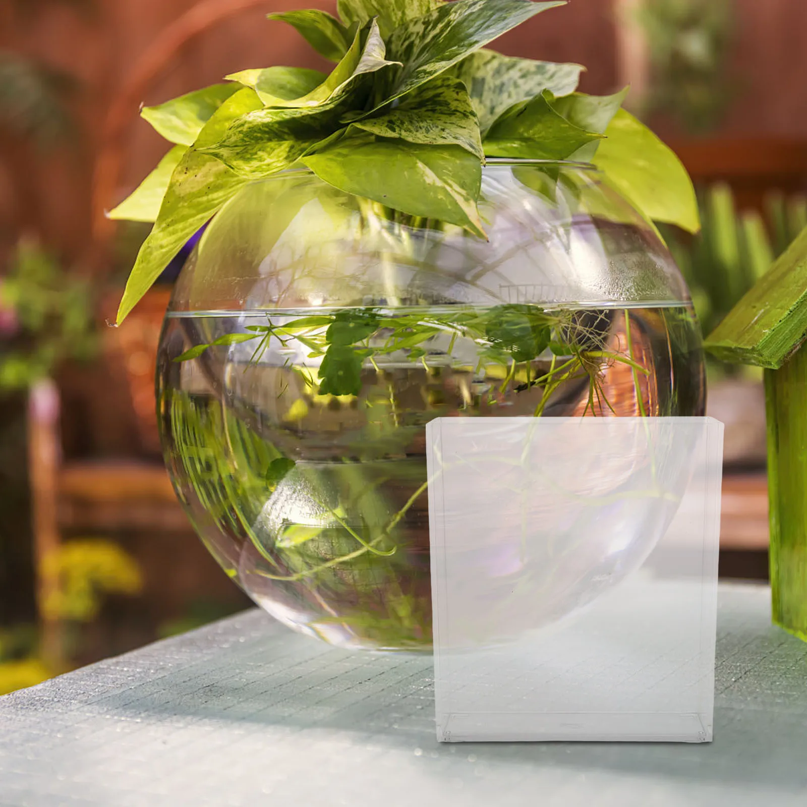 Transparent Portable Fish Observation Box Small Lightweight Easy Carry Fish Tank Breeding Aquarium Hatching Box
Transparent Portable Fish Observation Box Small Lightweight Easy Carry Fish Tank Breeding Aquarium Hatching Box
