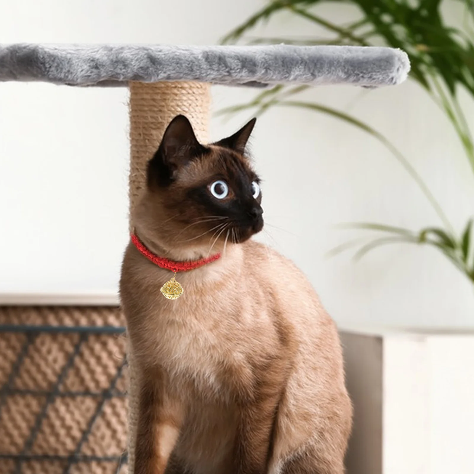 Red Handwoven Dog Kitten Puppy 15cm Hand Woven Pet Collar 40cm Neck Red Handwoven Rope Collar Fortune Bell Pet Supplies 
Red Handwoven Dog Kitten Puppy 15cm Hand Woven Pet Collar 40cm Neck Red Handwoven Rope Collar Fortune Bell Pet Supplies