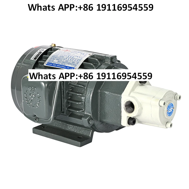 Technical Lubrication Pump ROP-20A ROP-25A High Flow Triangle Gear Oil Pump Motor
Technical Lubrication Pump ROP-20A ROP-25A High Flow Triangle Gear Oil Pump Motor