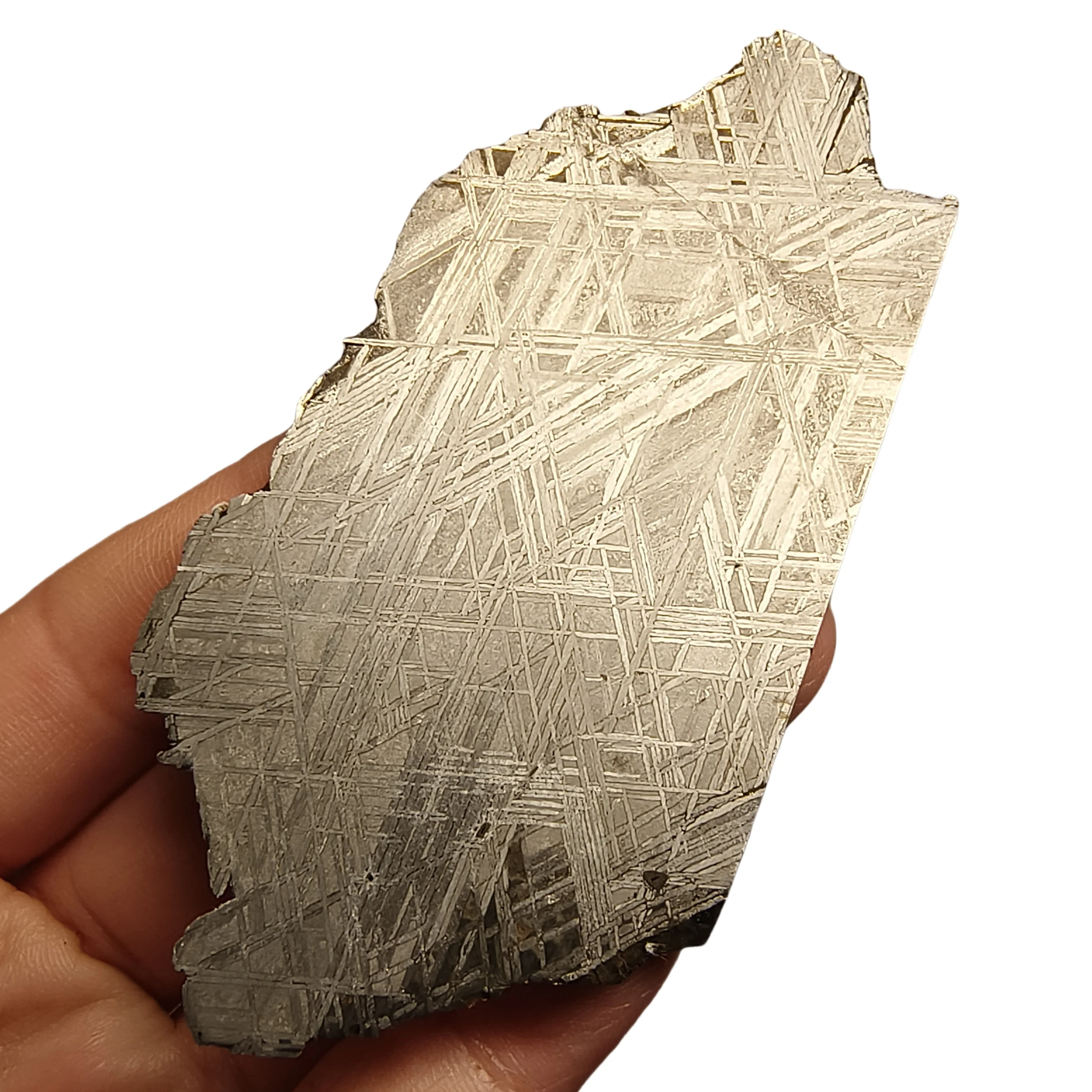 55.6g Namibian Gibbon Iron Meteorite G Iron Ore Section Specimen Slices Collectable and Processable -QC782
55.6g Namibian Gibbon Iron Meteorite G Iron Ore Section Specimen Slices Collectable and Processable -QC782