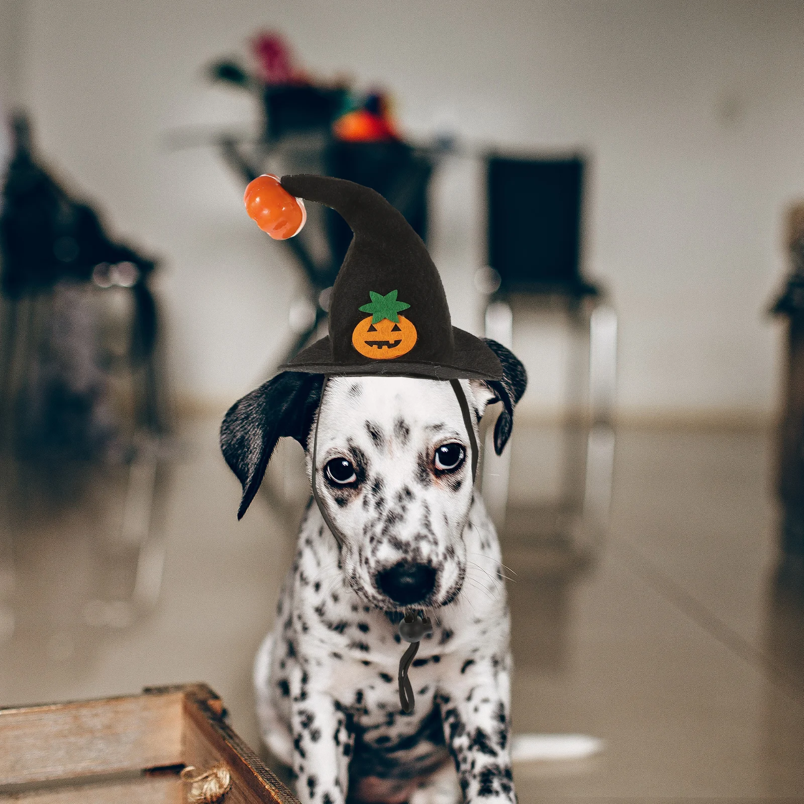 Pumpkin Smile Hat Halloween Themed Pet Hat Adjustable Strap for Cat Dog Black Comfortable Party Cosplay Pet Supplies Pumpkin
Pumpkin Smile Hat Halloween Themed Pet Hat Adjustable Strap for Cat Dog Black Comfortable Party Cosplay Pet Supplies Pumpkin
