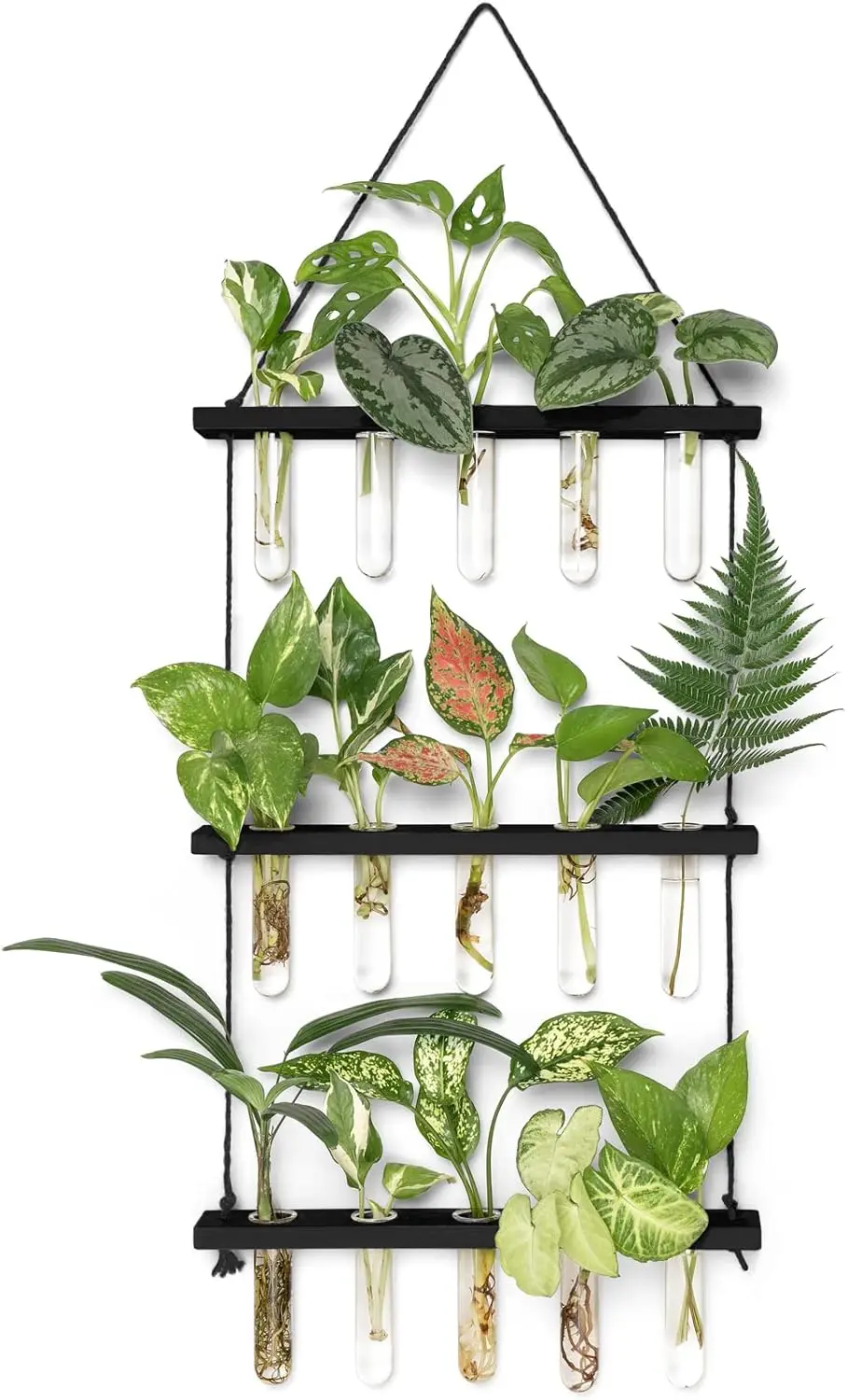 3-Tier Wall Hanging Plant Terrarium with Wooden Stand, 15 Test Tube Vases for Hydroponic Cuttings, Home Office Decor
3-Tier Wall Hanging Plant Terrarium with Wooden Stand, 15 Test Tube Vases for Hydroponic Cuttings, Home Office Decor