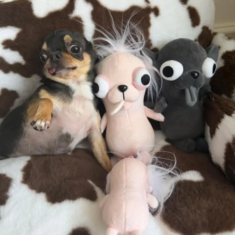 Funny Chihuahua Puppy Plush Pendant Ugly And Cute Creative Dog Plush Toy Backpack Abstract Plush Keychain Gift Plush Pet Toys
Funny Chihuahua Puppy Plush Pendant Ugly And Cute Creative Dog Plush Toy Backpack Abstract Plush Keychain Gift Plush Pet Toys