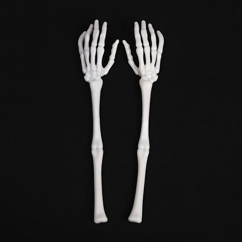 Simulated Skeleton Arm Halloween Party Props Role Play Faux Human Bone Holiday Decorations Cosplay Skeleton Hand
Simulated Skeleton Arm Halloween Party Props Role Play Faux Human Bone Holiday Decorations Cosplay Skeleton Hand