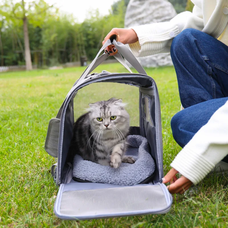 New Cat Handbag Portable Foldable Large Capacity Cat Outing Bag Breathable Shoulder Tote Puppy Pet Bag
New Cat Handbag Portable Foldable Large Capacity Cat Outing Bag Breathable Shoulder Tote Puppy Pet Bag