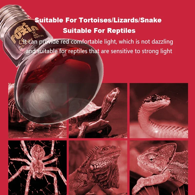 E27 Red Heat Bulb 25W 100W for Amphibians Reptiles Snakes with UVA Light 220V Infrared Heating Lamp for Poultry and Pets
E27 Red Heat Bulb 25W 100W for Amphibians Reptiles Snakes with UVA Light 220V Infrared Heating Lamp for Poultry and Pets