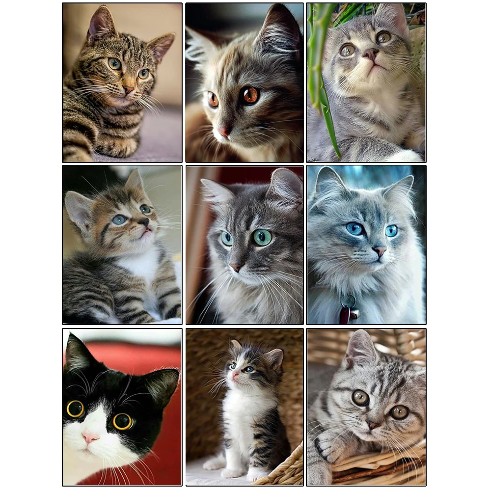Diamond Embroidery Cat 5D New 2022 Diamond Painting Animal Cross Stitch Kits Mosaic Rhinestone Pictures Handmade Hobby
Diamond Embroidery Cat 5D New 2022 Diamond Painting Animal Cross Stitch Kits Mosaic Rhinestone Pictures Handmade Hobby