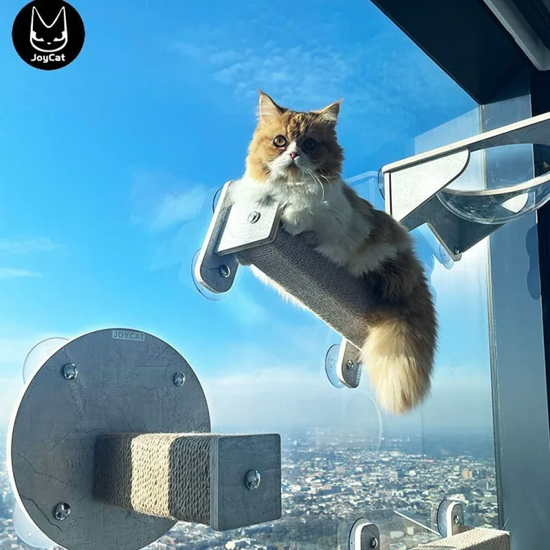 Sucker Glass Wall Cat Climbing Frame Toy, Interactive Games Park, Scratcher Tree Tower, Hammock, Furniture Accessories
Sucker Glass Wall Cat Climbing Frame Toy, Interactive Games Park, Scratcher Tree Tower, Hammock, Furniture Accessories