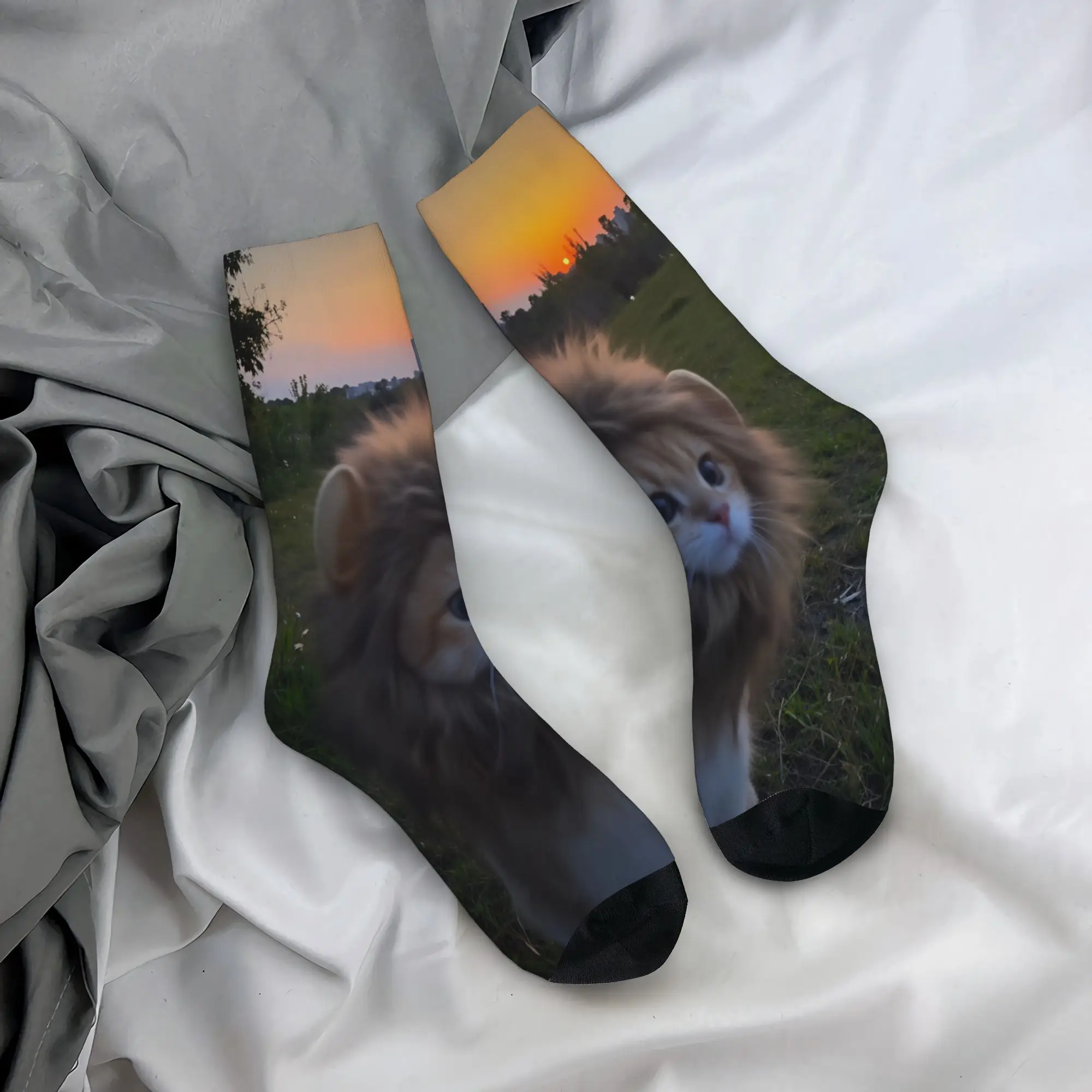 Cat Memes Funny Meme Print Stockings Men Socks Breathable Kawaii Socks Autumn Outdoor Sports Anti Skid Socks Birthday Gift
Cat Memes Funny Meme Print Stockings Men Socks Breathable Kawaii Socks Autumn Outdoor Sports Anti Skid Socks Birthday Gift