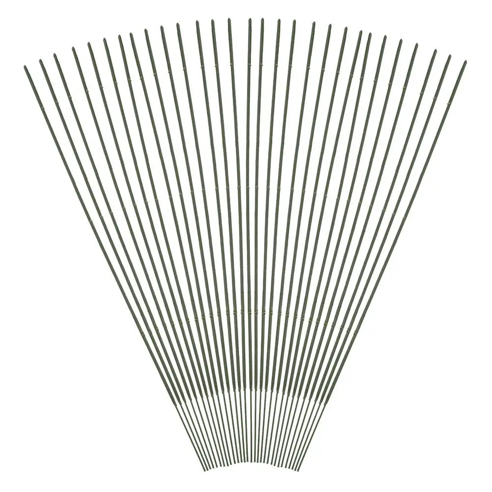100 Pcs Handmade Flower Arrangement Pole Floral Stems Artificial Supplies Iron Florist Accessories for Bouquet
100 Pcs Handmade Flower Arrangement Pole Floral Stems Artificial Supplies Iron Florist Accessories for Bouquet
