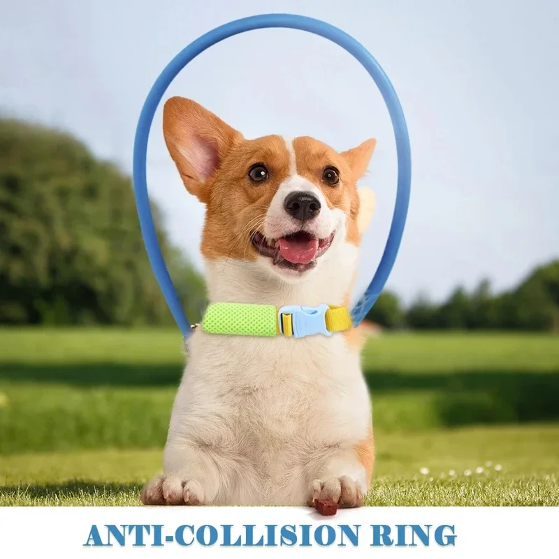 Blind Pet Anti-Collision Collar Dog Safe Halo Harness for Scorpion Cataract Animal Protection Circle Guide Collar, Black Color
Blind Pet Anti-Collision Collar Dog Safe Halo Harness for Scorpion Cataract Animal Protection Circle Guide Collar, Black Color