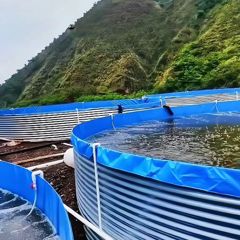 Hot Dipped Galvanized Sheet Fish ponds PVC Liners Fish Tank Aquaculture Koi Lobster Breeding Tank
Hot Dipped Galvanized Sheet Fish ponds PVC Liners Fish Tank Aquaculture Koi Lobster Breeding Tank
