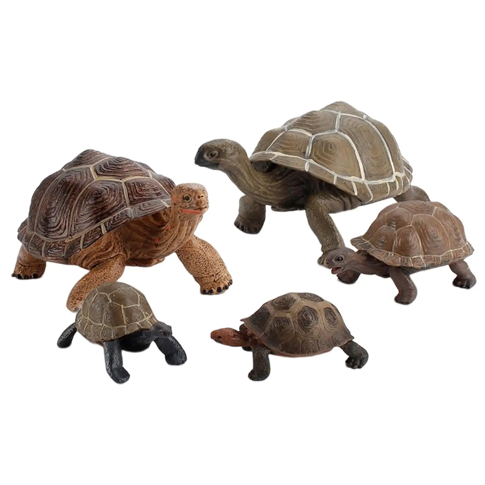 Turtle Figurine Cognition Educational Toys Turtle Toys Model for Home Decoration
Turtle Figurine Cognition Educational Toys Turtle Toys Model for Home Decoration