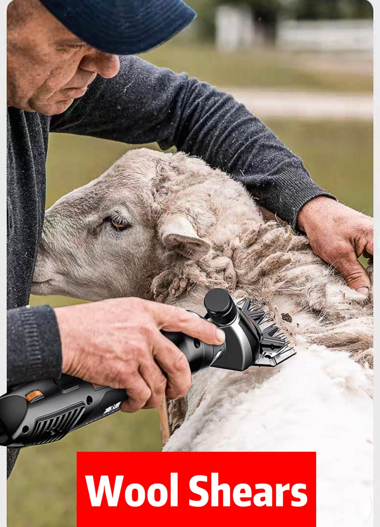 13 / 9 Teeth Electric Wool Shears Pet Machine Goat Horse Hair Scissors Sheep Shearing 6 Speed
13 / 9 Teeth Electric Wool Shears Pet Machine Goat Horse Hair Scissors Sheep Shearing 6 Speed