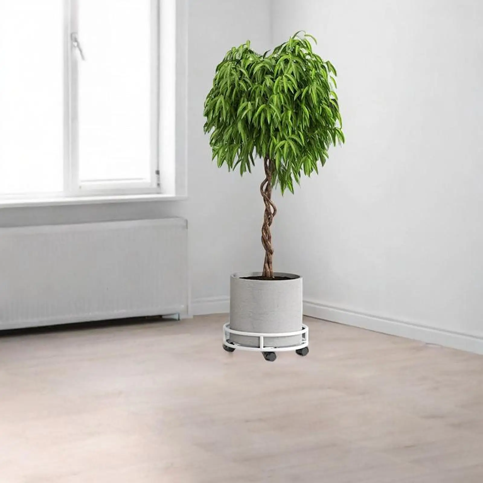 Iron Plant Stand Flower Pot Rack with Lockable Casters 30 cm Diameter Plant
Iron Plant Stand Flower Pot Rack with Lockable Casters 30 cm Diameter Plant