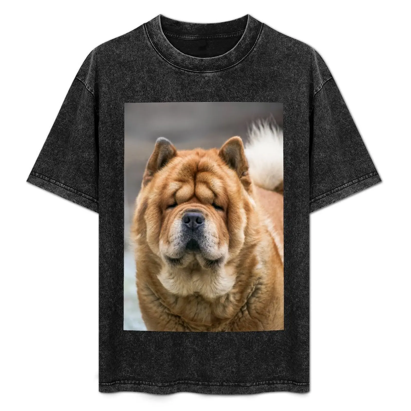 Chow-Chow portrait T-Shirt Work Outdoor Short Sleeve Tee
Chow-Chow portrait T-Shirt Work Outdoor Short Sleeve Tee