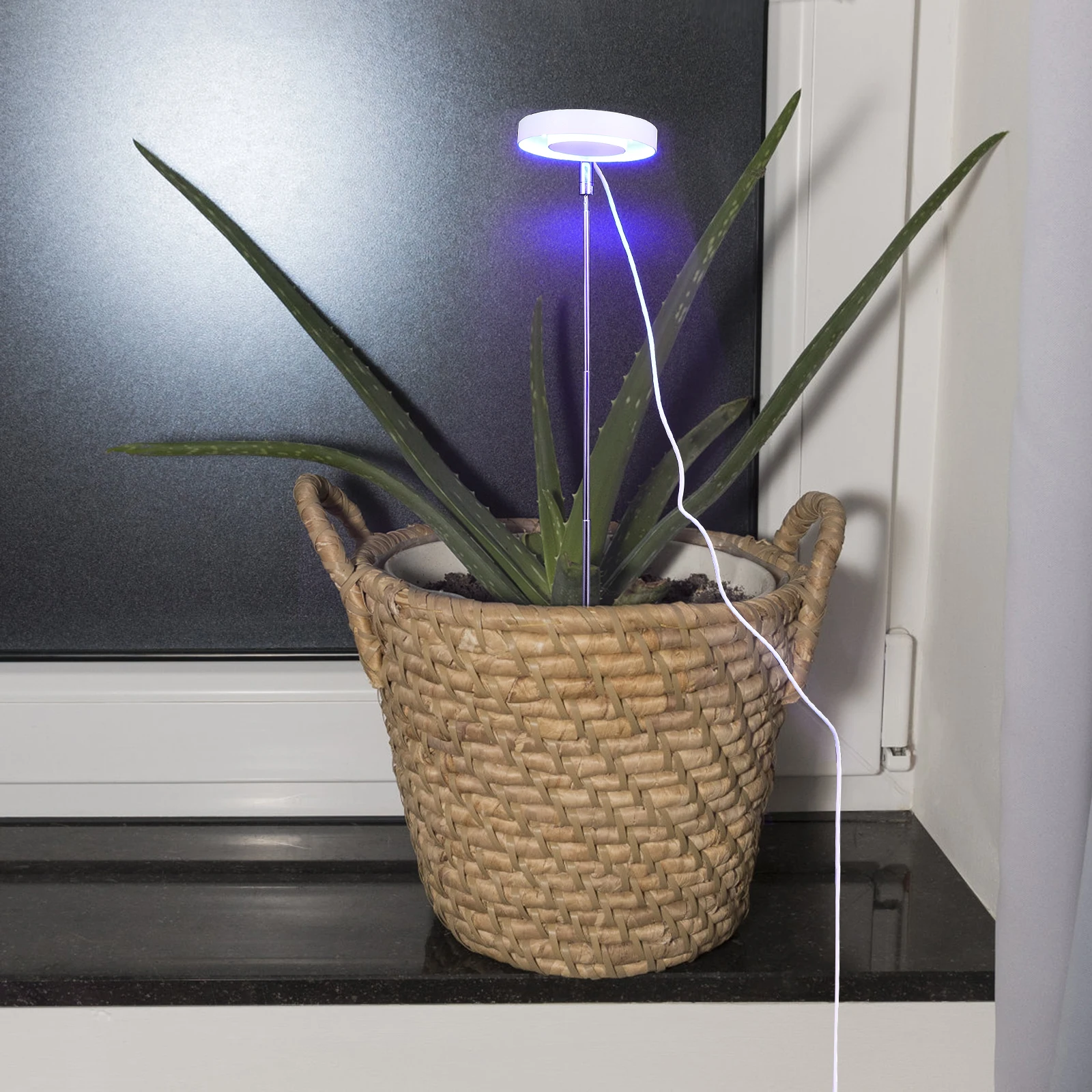LED Grow Light 3.5 Inch Black 5W Red Blue Full Plant Lights Timer for Indoor Plants Succulents Hydroponics
LED Grow Light 3.5 Inch Black 5W Red Blue Full Plant Lights Timer for Indoor Plants Succulents Hydroponics