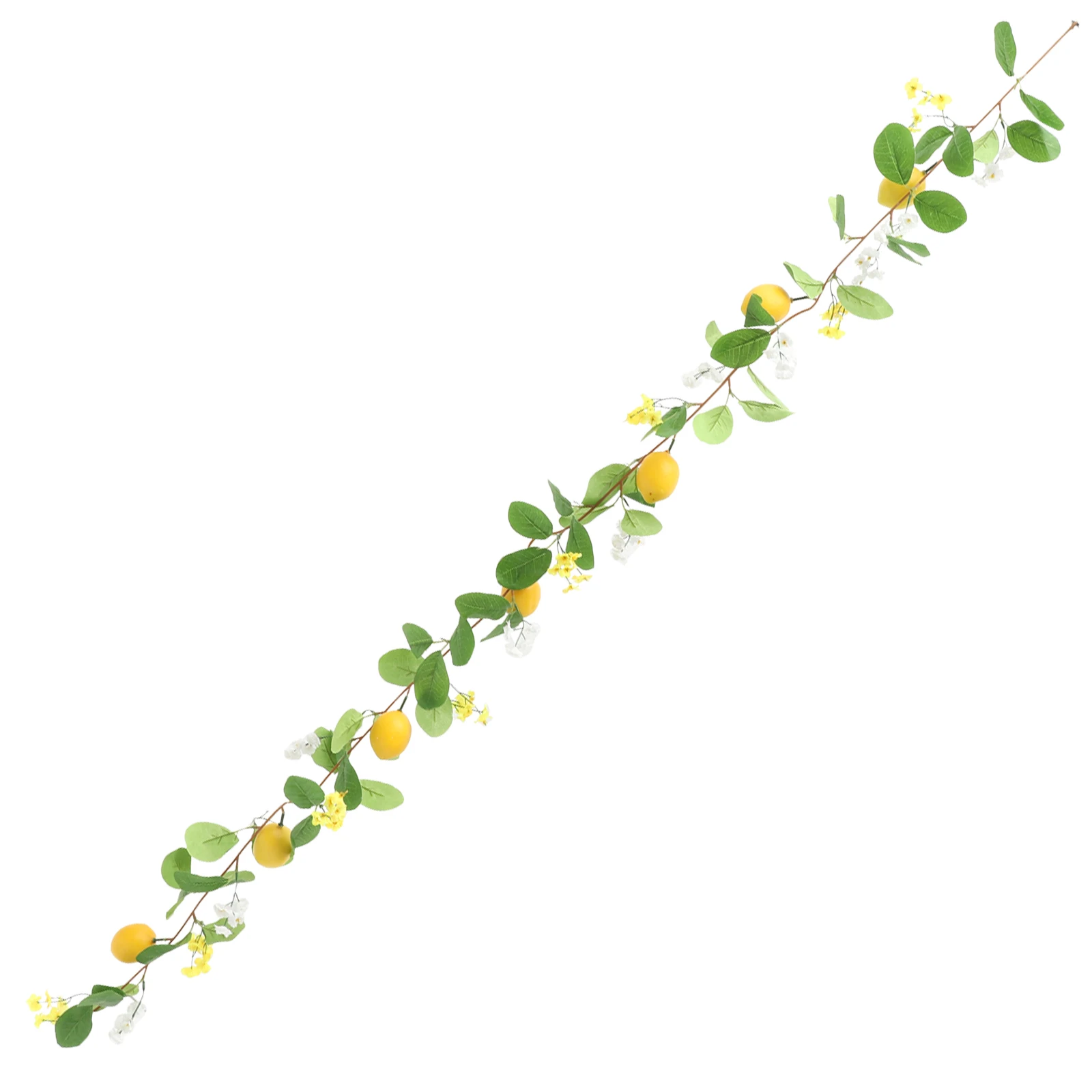 Lemon Simulation Rattan Artificial Garland The Flowers For Party Favors Fake Wreaths
Lemon Simulation Rattan Artificial Garland The Flowers For Party Favors Fake Wreaths