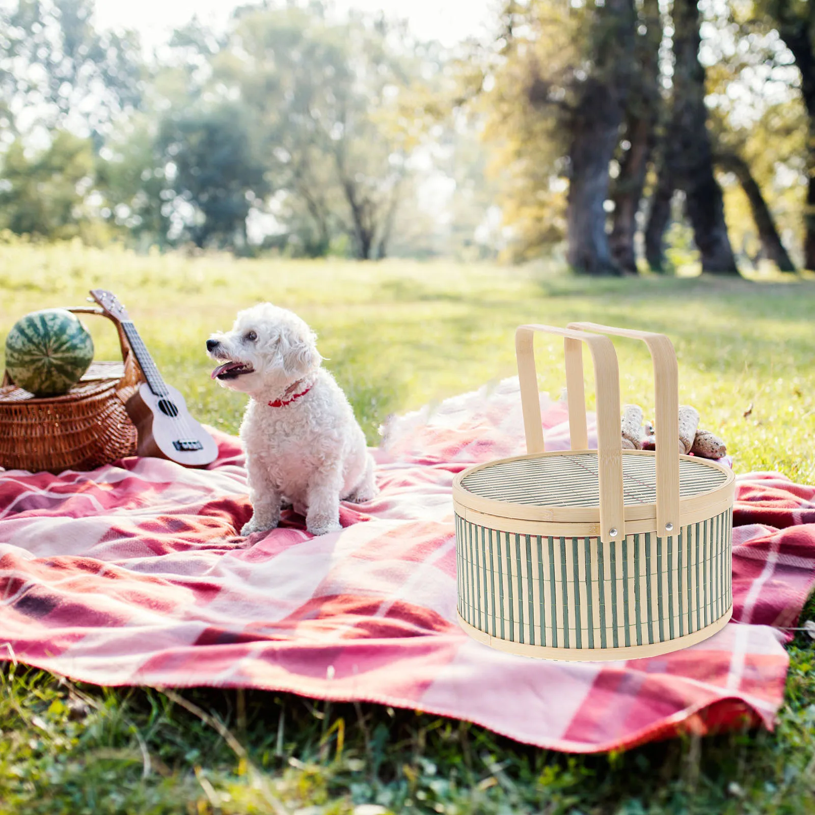 Bamboo Woven Picnic Basket 26cm Diameter 12cm Height Green Handles Storage for Fruits Snacks Household Portable Harvest Garden
Bamboo Woven Picnic Basket 26cm Diameter 12cm Height Green Handles Storage for Fruits Snacks Household Portable Harvest Garden