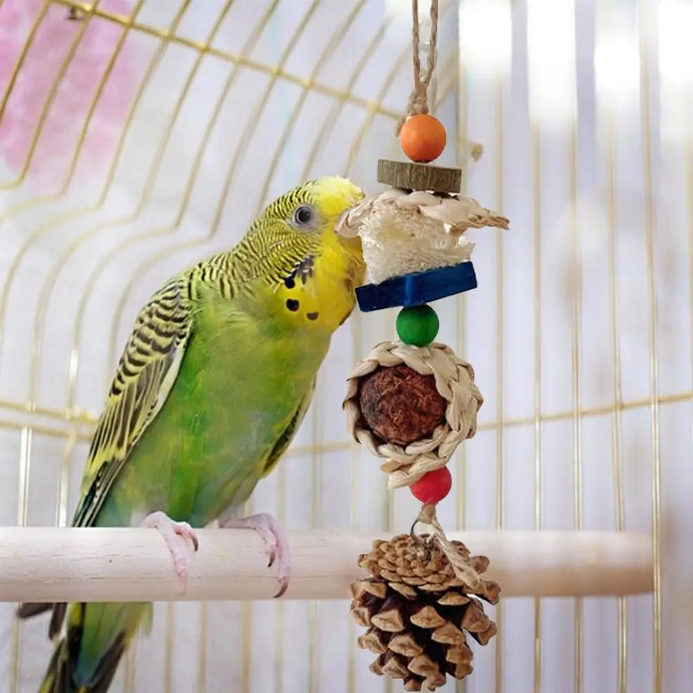 Bird Parrots Chew Toy With Corn Bark Pine Cones Rattan Ball Oral Care Improves Dental-health For Relieve Boredom
Bird Parrots Chew Toy With Corn Bark Pine Cones Rattan Ball Oral Care Improves Dental-health For Relieve Boredom