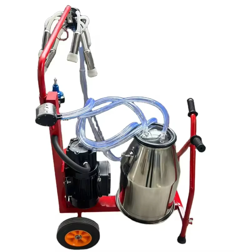 Manufacturers Supply High Efficiency Portable Cow Dry Type Pump Double Buckets Milking Machine for Dairy Farm
Manufacturers Supply High Efficiency Portable Cow Dry Type Pump Double Buckets Milking Machine for Dairy Farm