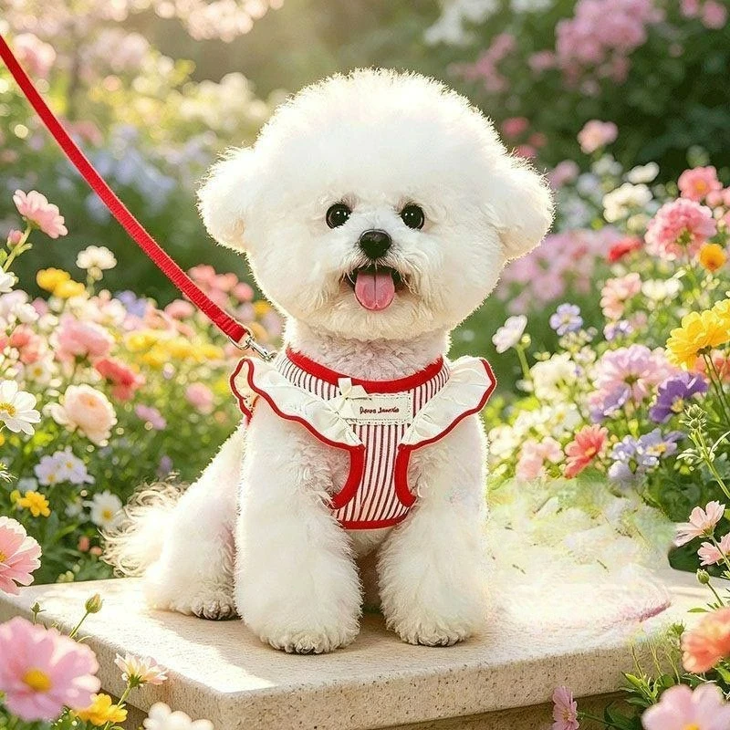 New Pet Cat Harness and Leash Set Adjustable Puppy Harness Cat Lead Leash Clothes Vest Nylon Mesh Kitten Collar Cat Accessories
New Pet Cat Harness and Leash Set Adjustable Puppy Harness Cat Lead Leash Clothes Vest Nylon Mesh Kitten Collar Cat Accessories