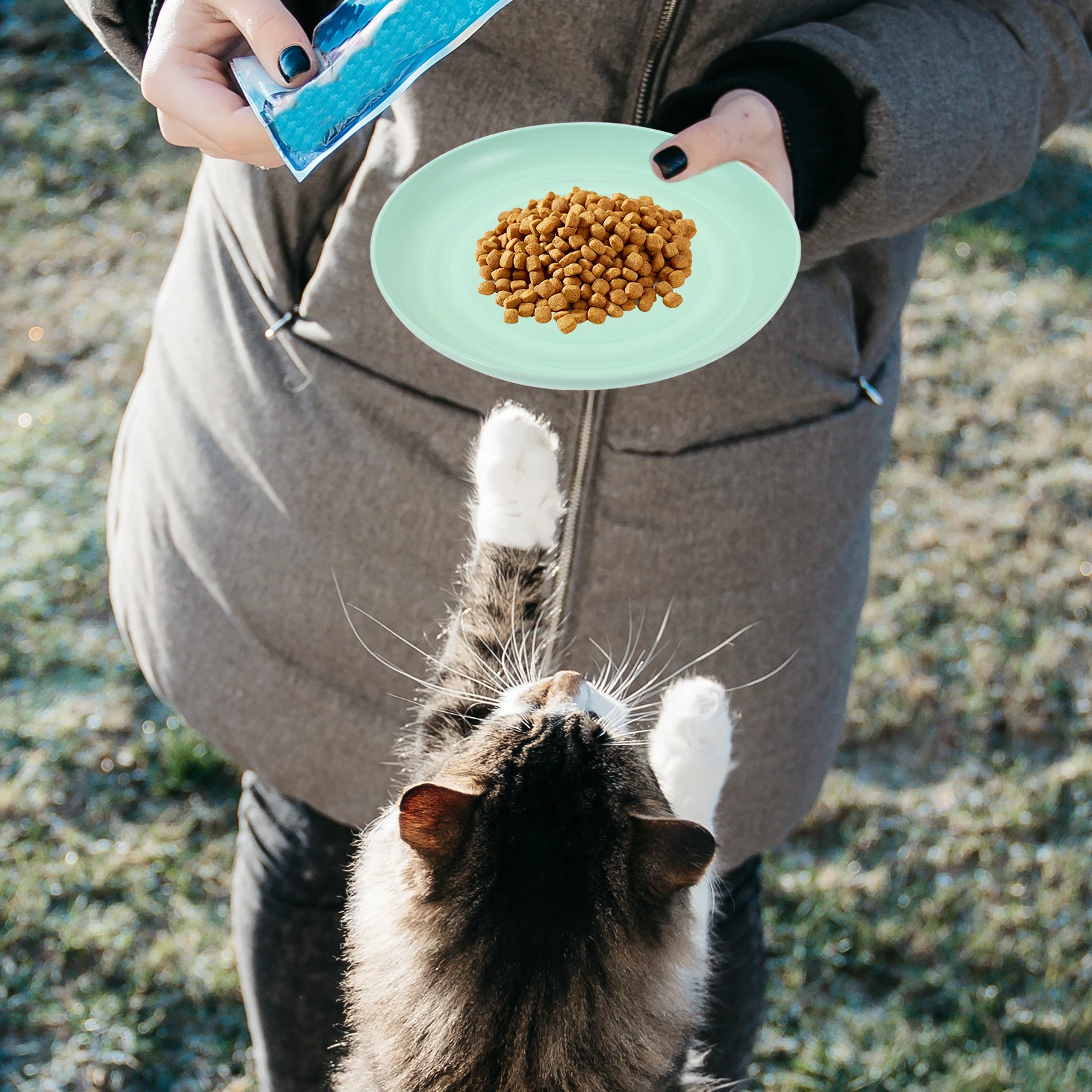 4pcs Cat Food Bowl Set 15cm Shallow Pet Bowls for Small Short Leg Cats Nonslip Base Dishwasher Beige Cyan
4pcs Cat Food Bowl Set 15cm Shallow Pet Bowls for Small Short Leg Cats Nonslip Base Dishwasher Beige Cyan
