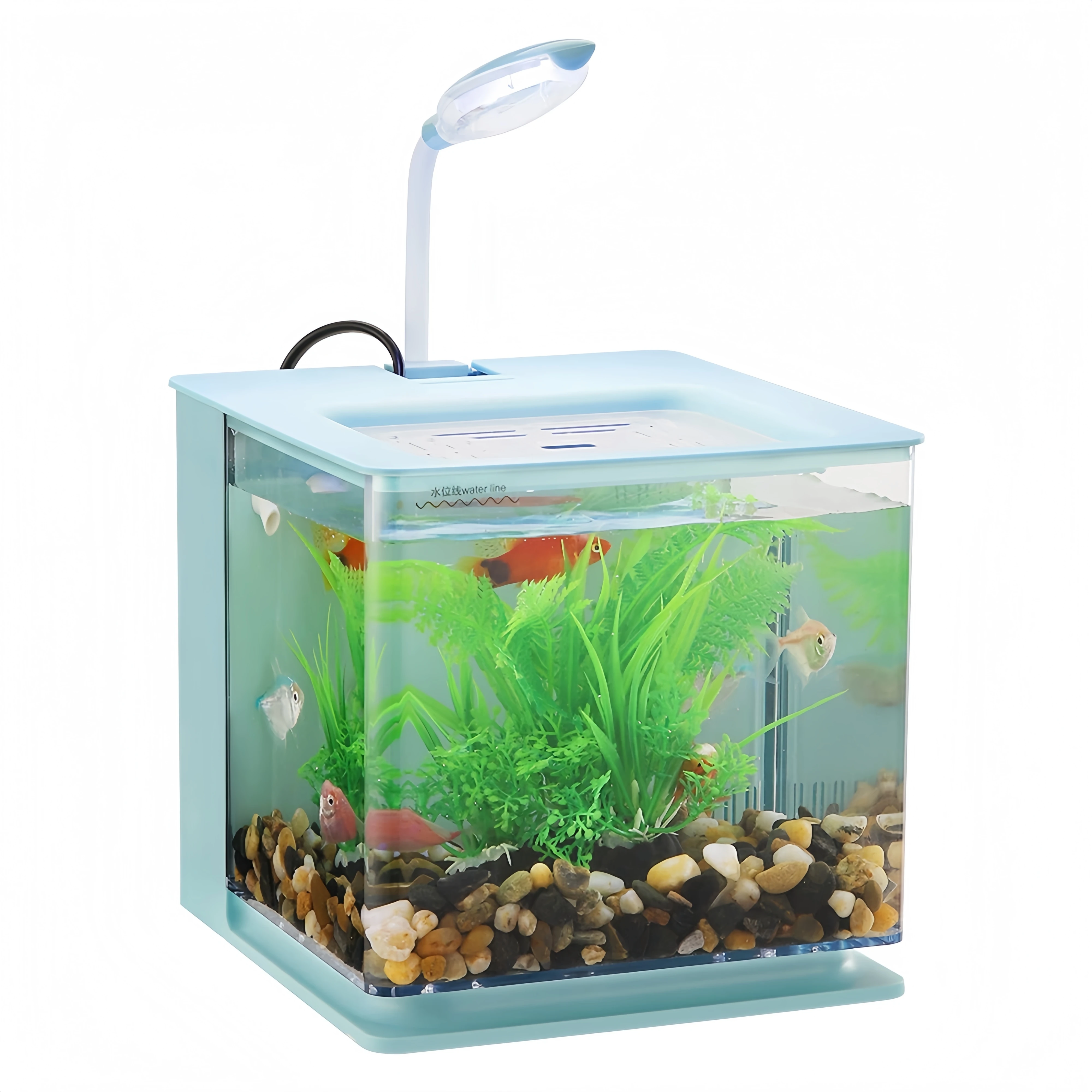 Mini Desktop Aquarium Fish Tank with LED Light USB Water Pump Built-in Filter Small Betta Tank Home Office Decor
Mini Desktop Aquarium Fish Tank with LED Light USB Water Pump Built-in Filter Small Betta Tank Home Office Decor