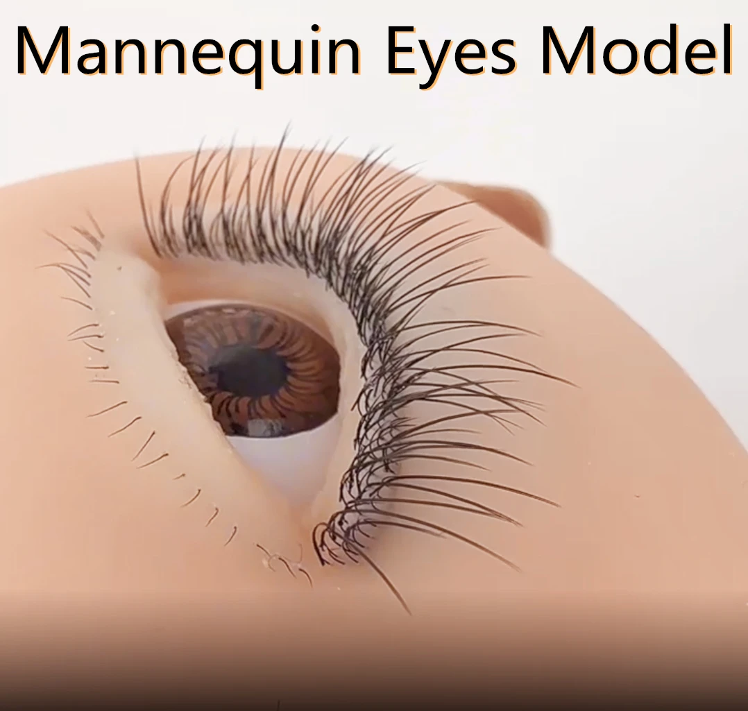 New Mannequin Eyes Model with Upper Lower Lashes Eyelash Extension Training For Lash Practice Simulated Makeup Tools
New Mannequin Eyes Model with Upper Lower Lashes Eyelash Extension Training For Lash Practice Simulated Makeup Tools