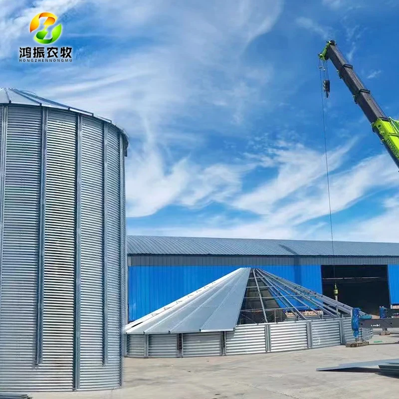 Large Steel Silo 2000Ton Grain Reserve Bin
Large Steel Silo 2000Ton Grain Reserve Bin