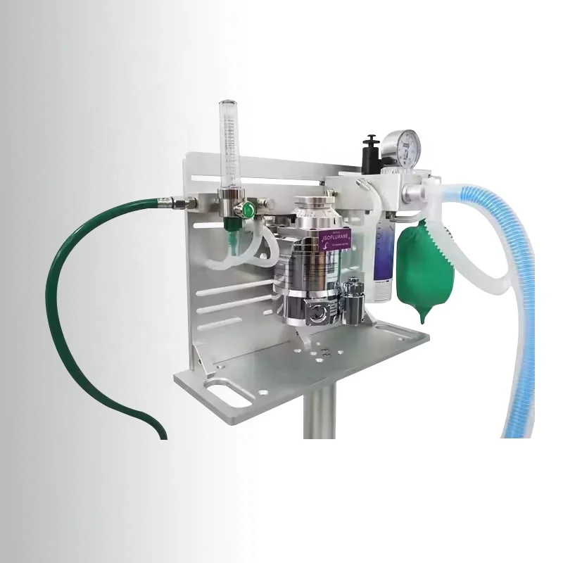Veterinary Equipment Vet Anesthesia Isoflurane Pet Portable Veterinary Anesthesia Machine
Veterinary Equipment Vet Anesthesia Isoflurane Pet Portable Veterinary Anesthesia Machine