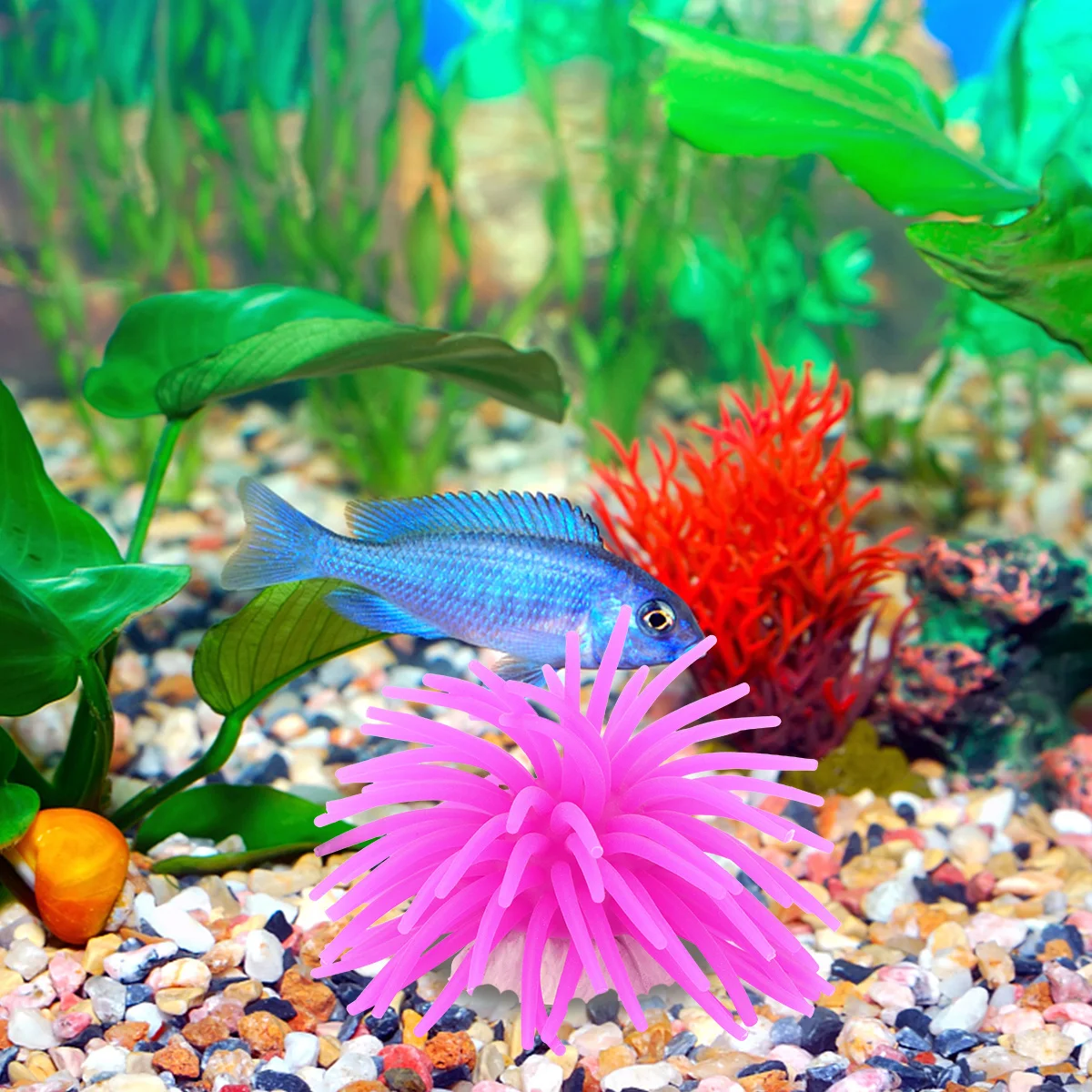 2Pcs Lifelike Artificial Sea Urchin for Fish Tank - Purple Silicone Coral Aquarium Decor with Stable Ceramic Anchor Base
2Pcs Lifelike Artificial Sea Urchin for Fish Tank - Purple Silicone Coral Aquarium Decor with Stable Ceramic Anchor Base