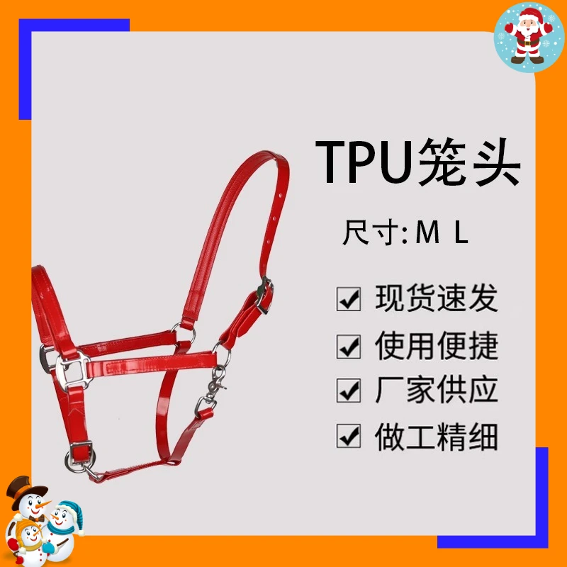 Outdoor Bridle Head Bridle Head Equipment Adjustable Durable Equestrian Supplies Riding Accessories TPU Bridle
Outdoor Bridle Head Bridle Head Equipment Adjustable Durable Equestrian Supplies Riding Accessories TPU Bridle