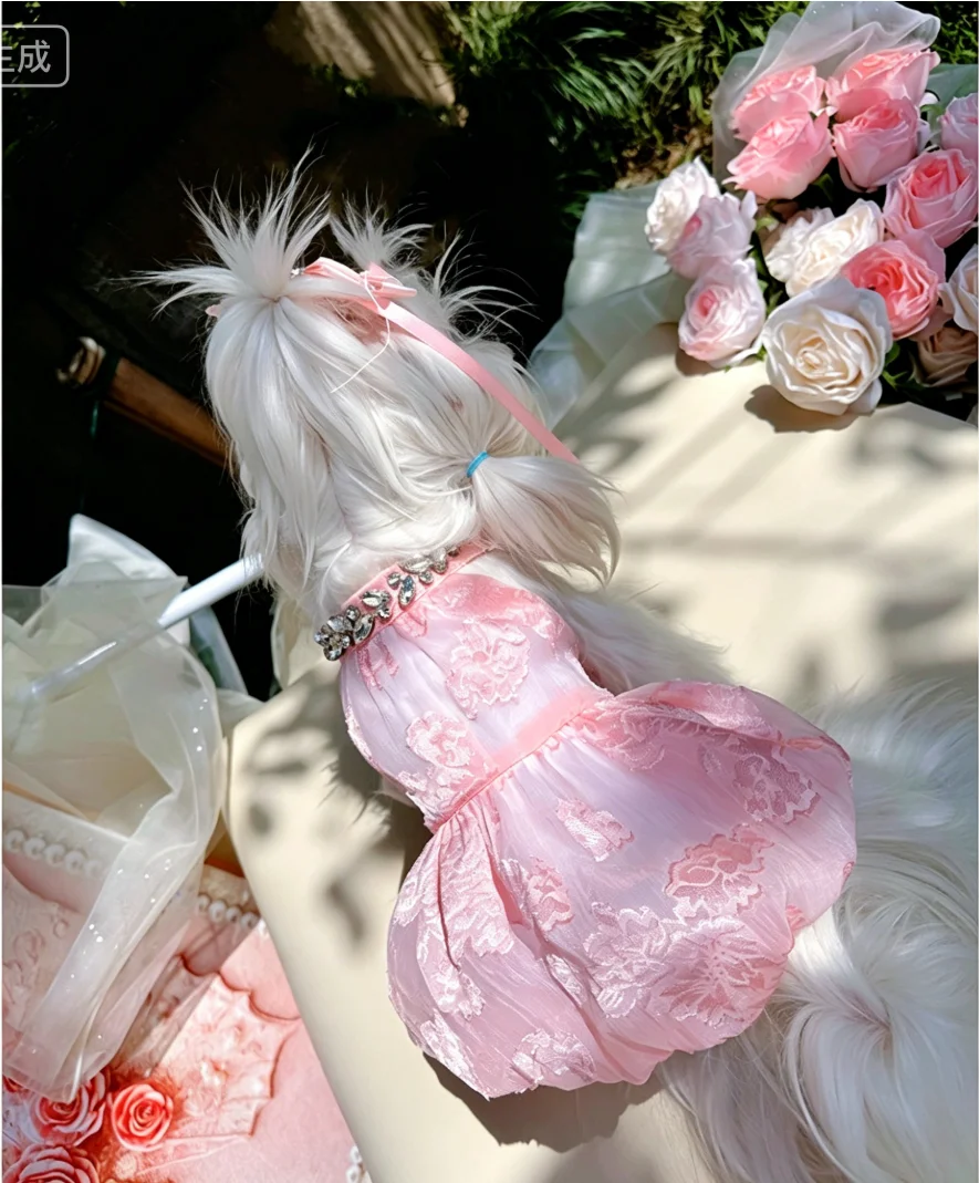 Sparkly Rhinestone Pet Evening Dress Tulle Dog Gown Summer Elegant Flocking Rose Outfit for Small Dogs Cats Party Wear
Sparkly Rhinestone Pet Evening Dress Tulle Dog Gown Summer Elegant Flocking Rose Outfit for Small Dogs Cats Party Wear