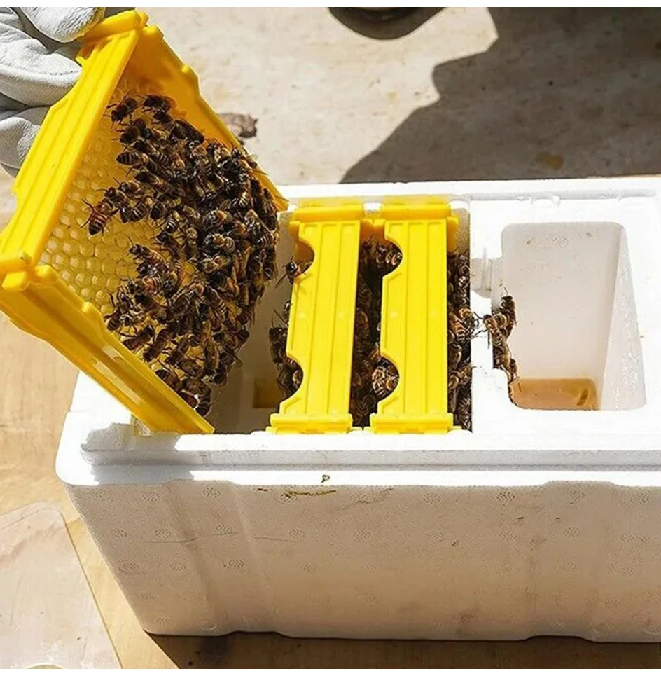 Queen Bee Breeding Box Bee Rearing Mating Box Foam Beehive Pollination Box Beekeeping Tools Breeding Case Beekeeping Equipment
Queen Bee Breeding Box Bee Rearing Mating Box Foam Beehive Pollination Box Beekeeping Tools Breeding Case Beekeeping Equipment