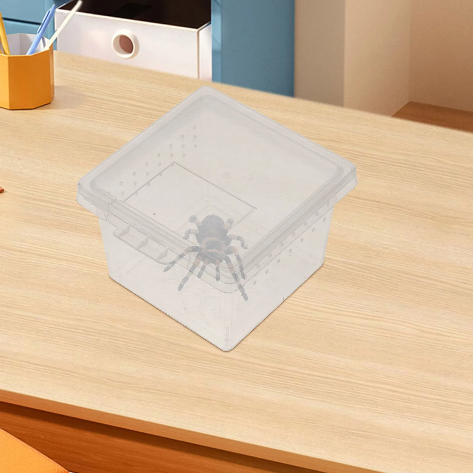 20pcs Transparent Observation Box for Insects Spider Snail Reptile Feeding Cage Habitat Terrarium Portable Clear Container
20pcs Transparent Observation Box for Insects Spider Snail Reptile Feeding Cage Habitat Terrarium Portable Clear Container