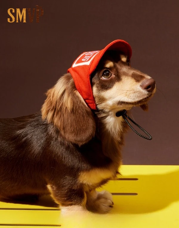 Spring Summer Red Baseball Cap Sunshade and Sun Protection Sports and Leisure Style Small Pet Dog Hat Outdoor Products
Spring Summer Red Baseball Cap Sunshade and Sun Protection Sports and Leisure Style Small Pet Dog Hat Outdoor Products