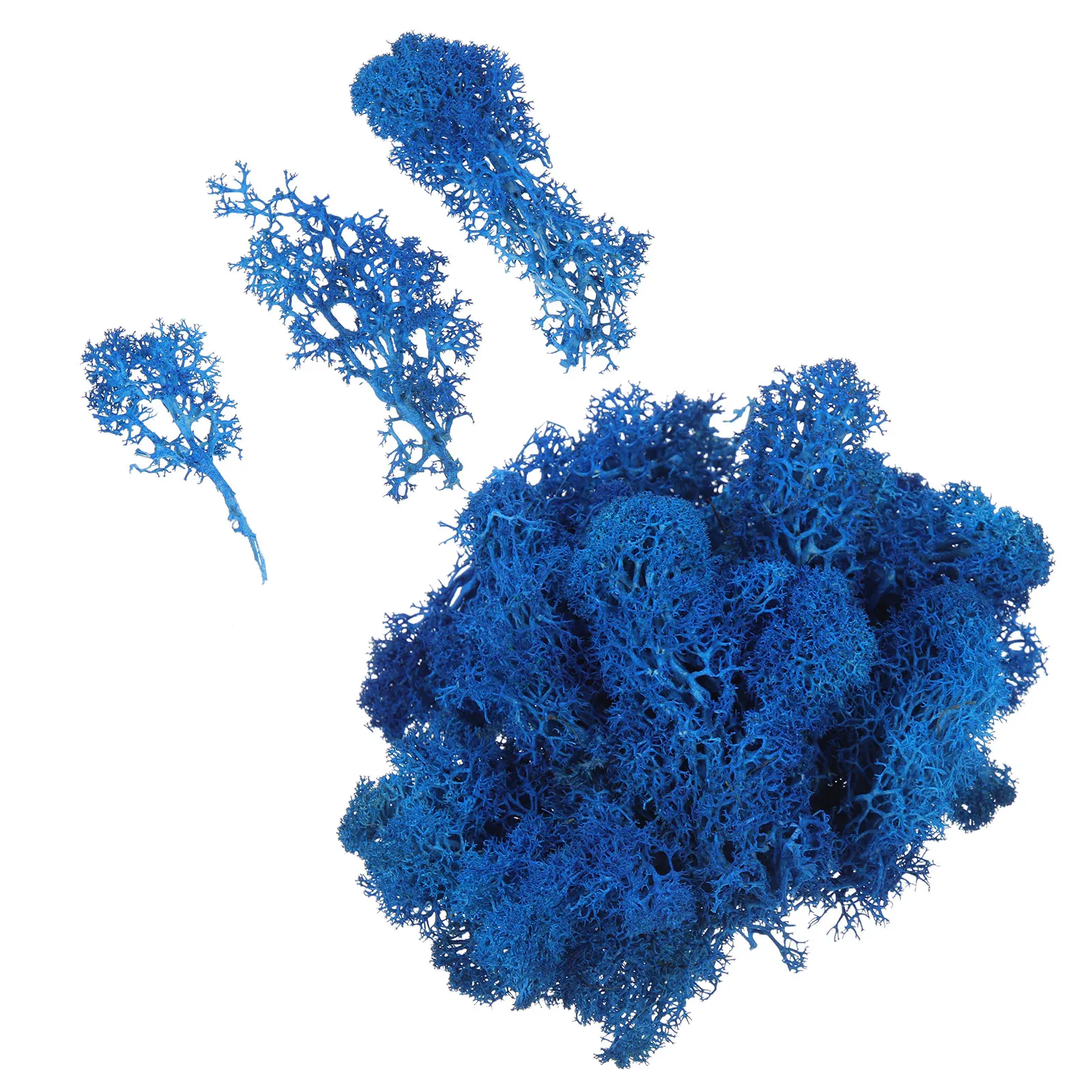 1 Set Everlasting Moss Plant Fake Wall Decor Artificial Blue Color 12x12 Inch Preserved Moss Bulk Home Wall Decor Craft Supplies
1 Set Everlasting Moss Plant Fake Wall Decor Artificial Blue Color 12x12 Inch Preserved Moss Bulk Home Wall Decor Craft Supplies