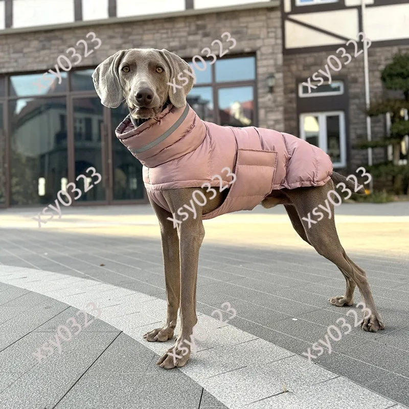High Filled Cotton Dog Coat, Warm Thick Pet Clothes for Whippet Slender Medium Large Dogs
High Filled Cotton Dog Coat, Warm Thick Pet Clothes for Whippet Slender Medium Large Dogs